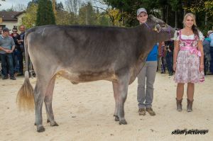 004k-Rinderchampion BV Blooming Bluna Franz Felder AR8I7973